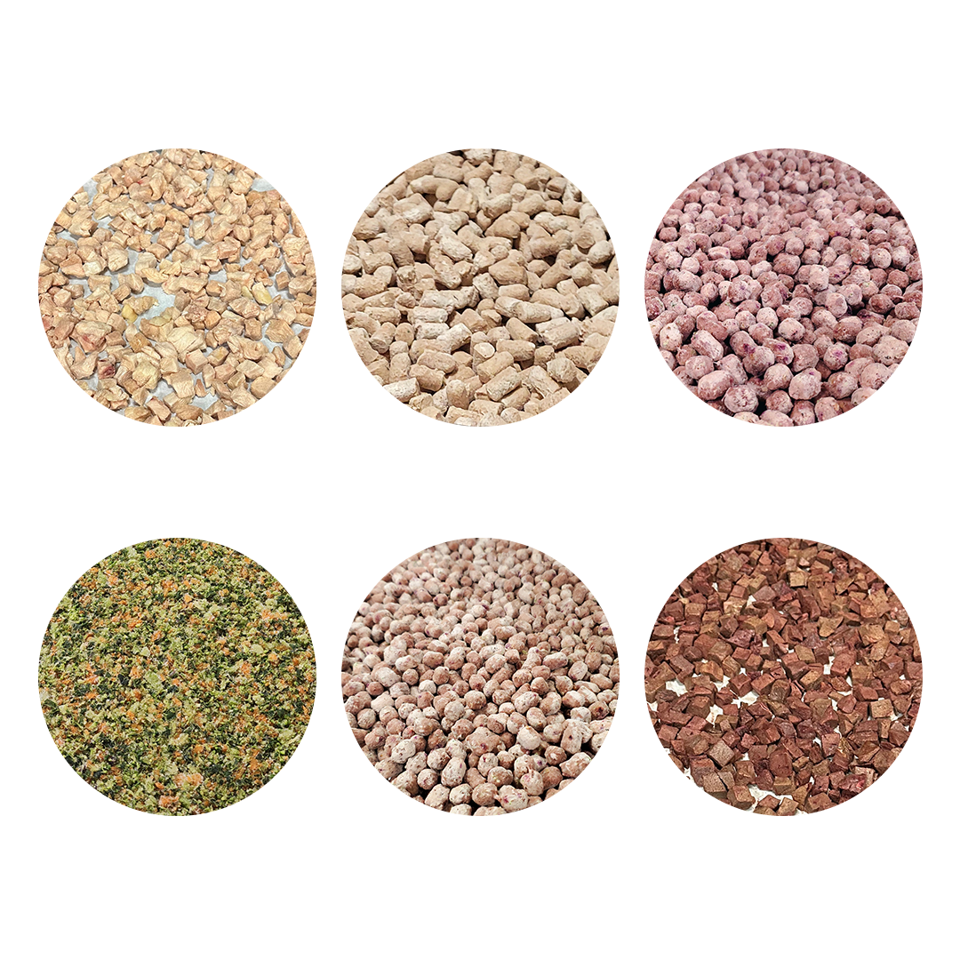 SummitLandingPage_LimitlessPotential_V2